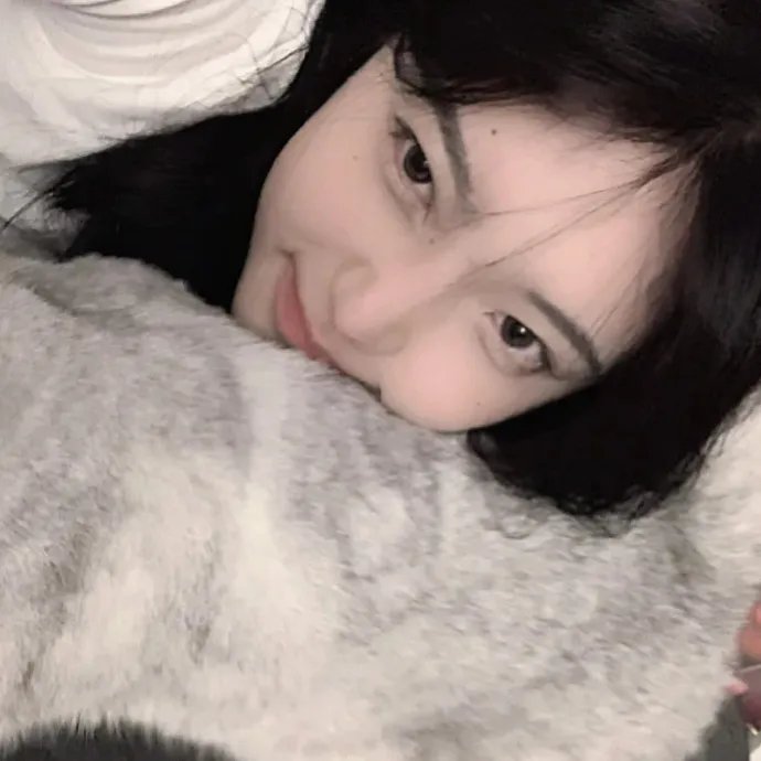 连环情杀案